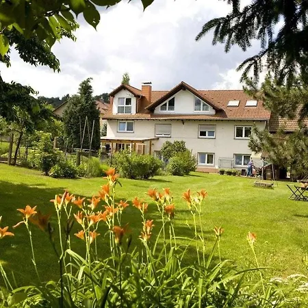 Flower Magic At The Birnbaumhof * Schwedelbach