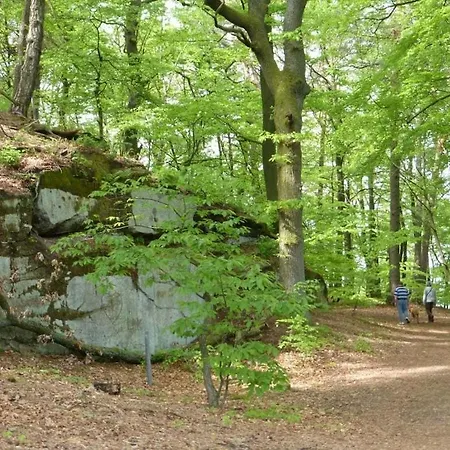 Flower Magic At The Birnbaumhof