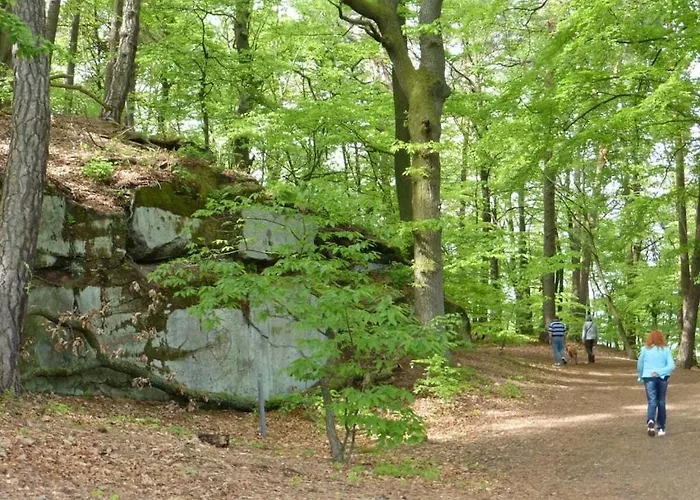 Flower Magic At The Birnbaumhof