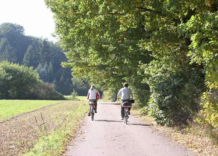 Flower Magic At The Birnbaumhof *