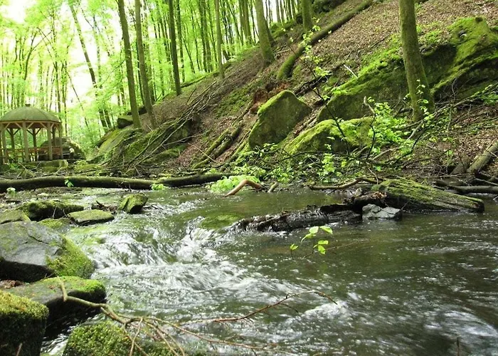 Flower Magic At The Birnbaumhof * Schwedelbach